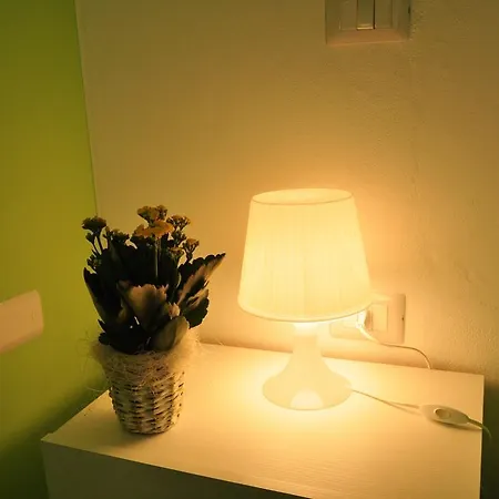 Domus Primavera 스케르네