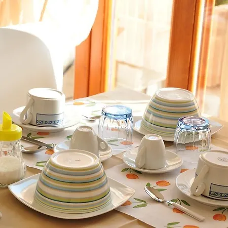 Domus Primavera 스케르네