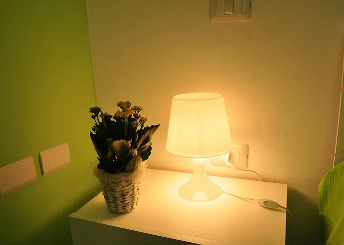 Domus Primavera 스케르네